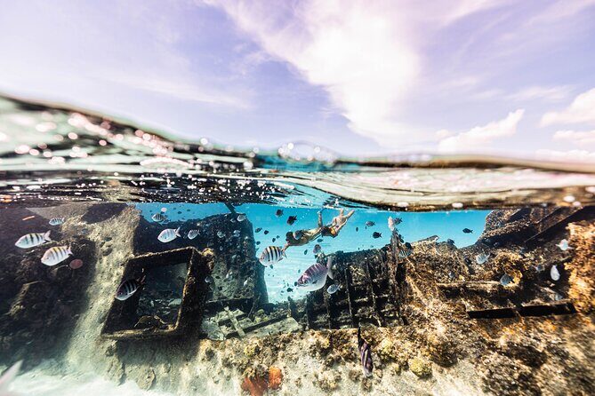 5-in-1 Cancun Snorkeling Tour with Sea Life & Transport Included - Guides, safety, and the small touches that shape your day