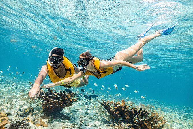 5-in-1 Cancun Snorkeling Tour with Sea Life & Transport Included - Underwater photos and video: enjoy the memories, manage the process