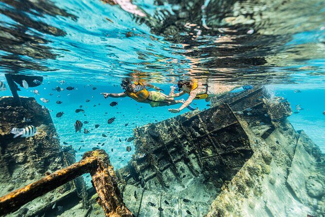 5-in-1 Cancun Snorkeling Tour with Sea Life & Transport Included - Price breakdown: $79 is just the start