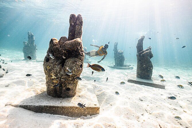 5-in-1 Cancun Snorkeling Tour with Sea Life & Transport Included - Weather matters: what happens if conditions aren’t right?