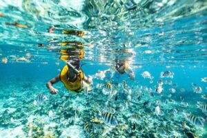 5-in-1 Cancun Snorkeling: Turtles, Reef, Musa, Shipwreck, Cenote - Beginner-friendly water: shallow depth and coaching that matters