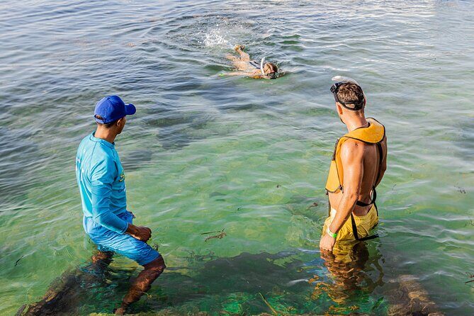 5-in-1 Cancun Snorkeling: Turtles, Reef, Musa, Shipwreck, Cenote - Sea turtles and possible rays: the search is the fun