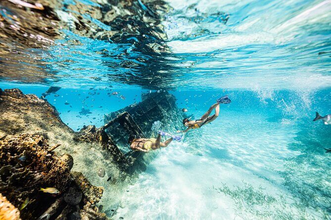 5-in-1 Cancun Snorkeling: Turtles, Reef, Musa, Shipwreck, Cenote - Cenote finish: changing scenery and managing expectations