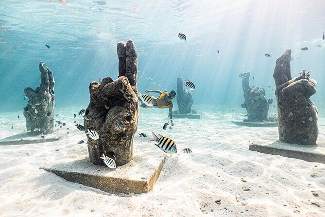 5-in-1 Cancun Snorkeling: Turtles, Reef, Musa, Shipwreck, Cenote - Boats, photos, and seasickness: the practical stuff people forget