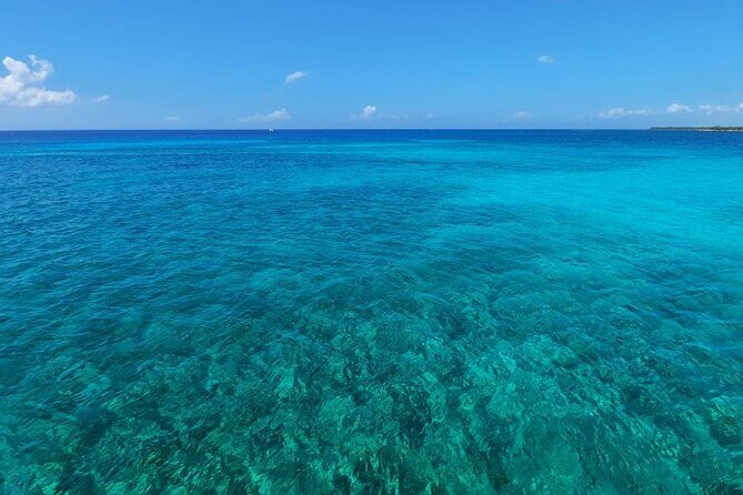 5H Private 44' Catamaran All-Inclusive - Tulum & Playa del Carmen - La Bocana: Shallow Clear Water, Ceviche, and Music From the Sea