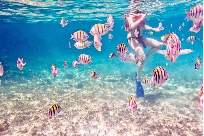 5H Private 44' Catamaran All-Inclusive - Tulum & Playa del Carmen - First Stop In-Ha: Calm Reef Snorkeling and Sea Turtle Possibilities