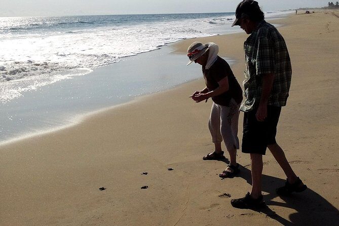 6 Hour Fun-Filled Tour Perfect for Cruise Travelers & Hotel Stays - Key points before you go