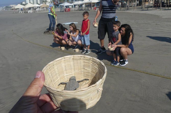 6Hr Cruise or Hotels City Tour, Divers, Baby Turtles Peace Chapel - The guide experience: names you may hear and why it matters
