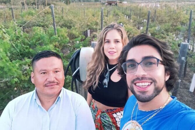 8 Hour Private Tour in the Guadalupe Valley 1-4 Passengers - Comfort and timing: air-conditioned rides, clean cars, and more space than expected