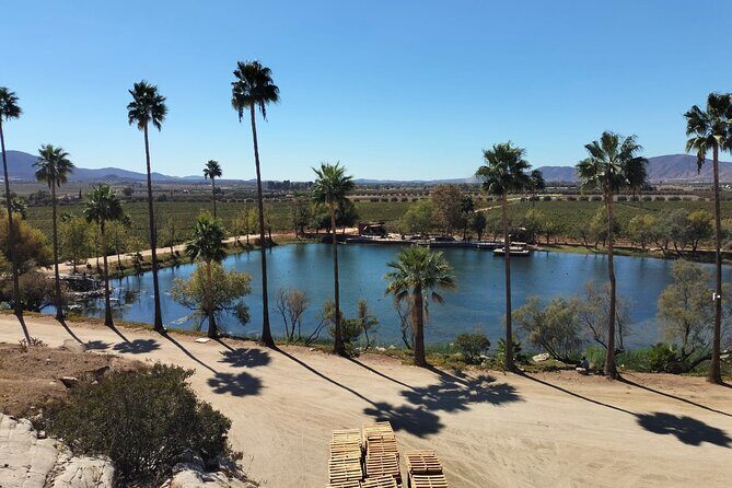 8 Hour Private Tour in the Guadalupe Valley 1-4 Passengers - Your day at the vineyards and restaurants: maximizing an 8-hour window