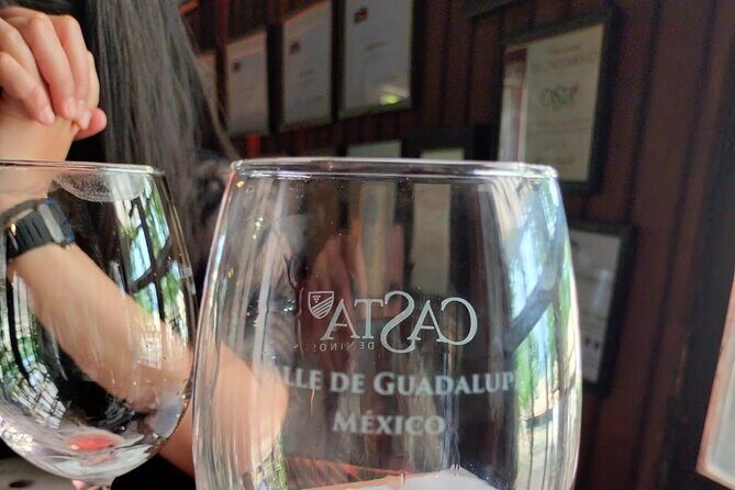 8 Hour Private Tour in the Guadalupe Valley 1-4 Passengers - Picking the right wineries and restaurants, without second-guessing