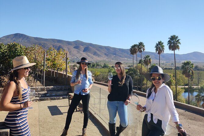 $99 Valle de Guadalupe Wine Tours - DayTrip to baja from San Diego - Why this Valle de Guadalupe day works: time, pace, and private comfort