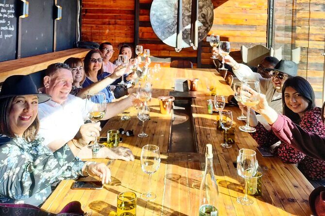 $99 Valle de Guadalupe Wine Tours - DayTrip to baja from San Diego - Viñedos de la Reina: the big view stop, timed for photos and a calm tasting