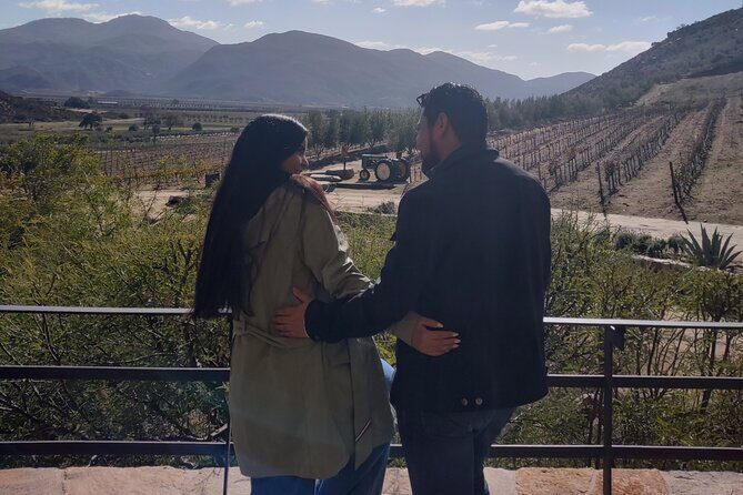 $99 Valle de Guadalupe Wine Tours - DayTrip to baja from San Diego - La Justina Valle: BajaMed food, live music, and a friendly wrap-up