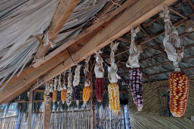 a day in the life of a Zapotec village - The Morning Pickup and the Countryside Transition
