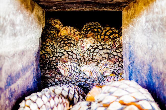 A unique tour! Visiting Hacienda Casa herradura From Guadalajara - What You Actually Learn at Herradura: From Agave to Tasting Notes