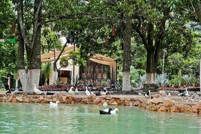 A unique tour! Visiting Hacienda Casa herradura From Guadalajara - Downtown Tequila, Jalisco: Temples, Markets, and Shopping Time You’ll Use