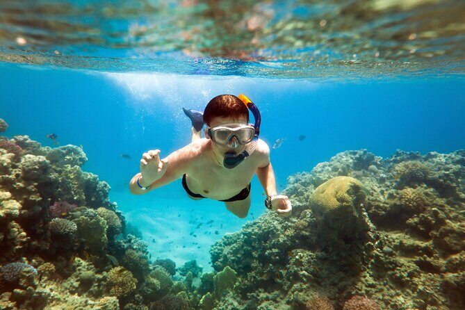Acapulco Snorkeling Tour - Quick take: what matters on this Acapulco snorkel