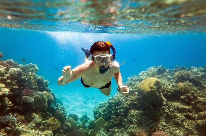 Acapulco Snorkeling Tour - Small-group guiding: why up to 12 people can feel like a private trip
