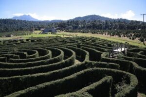 Admission to the Alpinia Nature and Adventure Park - Entering the maze: the included challenge people talk about