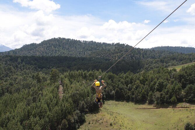 Admission to the Alpinia Nature and Adventure Park - Children’s farm: why it’s included and why kids love it