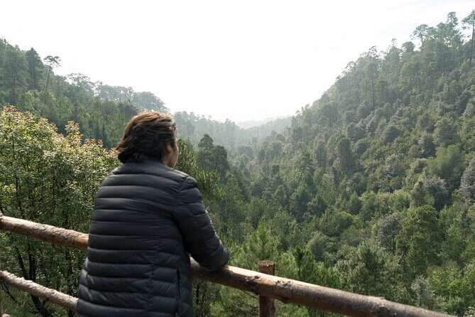 Admission to the Alpinia Nature and Adventure Park - Obstacle course and suspension bridge: where the park turns physical