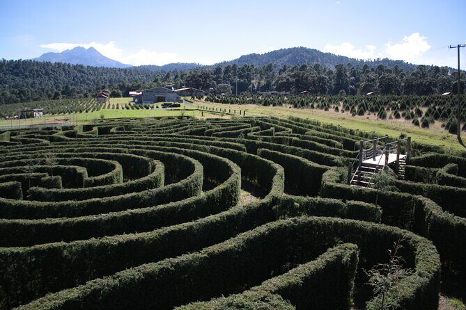 Admission to the Alpinia Nature and Adventure Park - Entering the maze: the included challenge people talk about