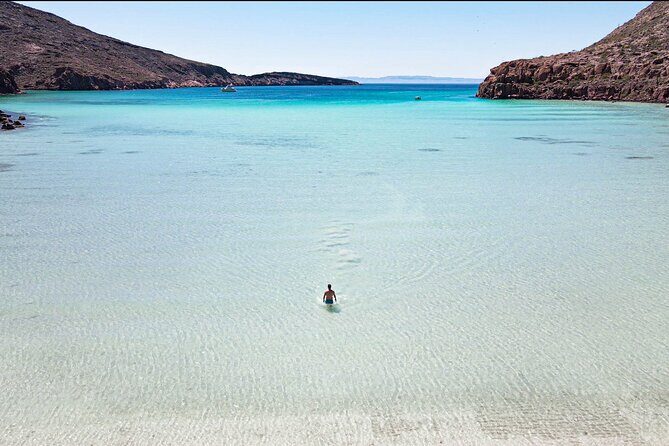 Adventure to Espiritu Santo Island: Snorkel with Sea Lions and Beach - Key Things That Make This Sea Lion Snorkel Stand Out