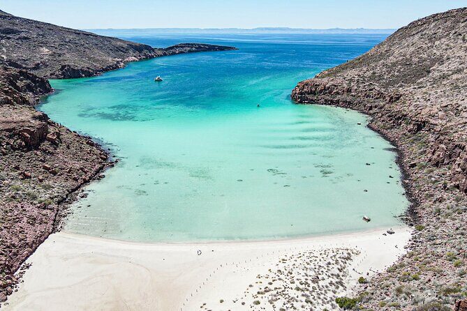 Adventure to Espiritu Santo Island: Snorkel with Sea Lions and Beach - Snorkeling With Sea Lions at Los Islotes: What It’s Like Underwater