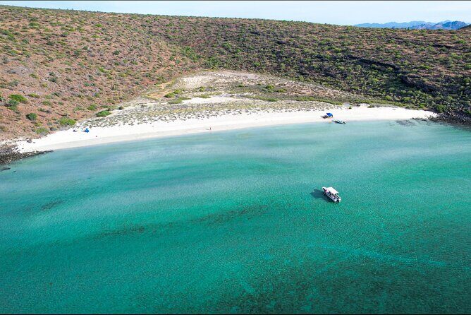 Adventure to Espiritu Santo Island: Snorkel with Sea Lions and Beach - Beach Lunch on Espiritu Santo: Ceviche, Vegan Option, and Real Comfort