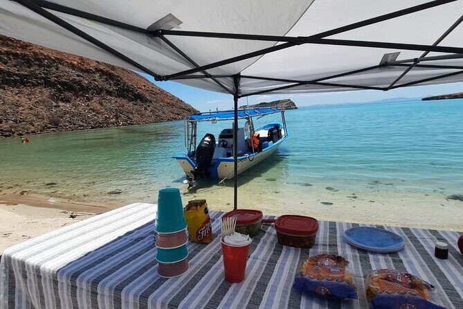 Adventure to Espiritu Santo Island: Snorkel with Sea Lions and Beach - Who This Tour Fits Best (And Who Might Skip It)