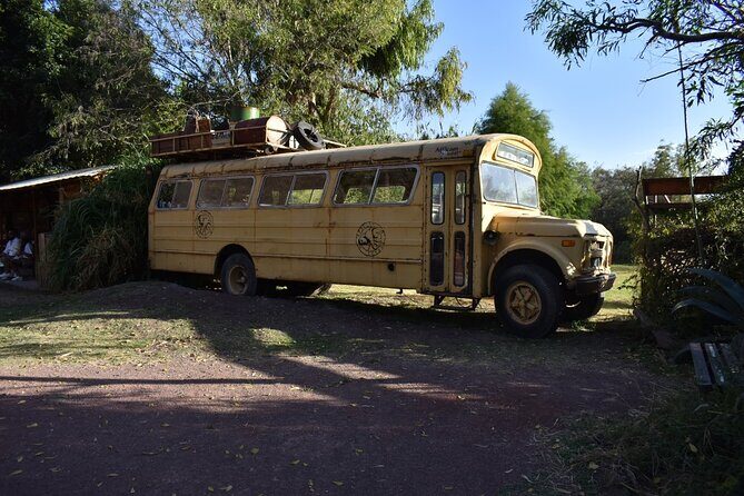 Africam safari (private tour) - Transport and Comfort: Why the Air-Conditioned Ride Matters