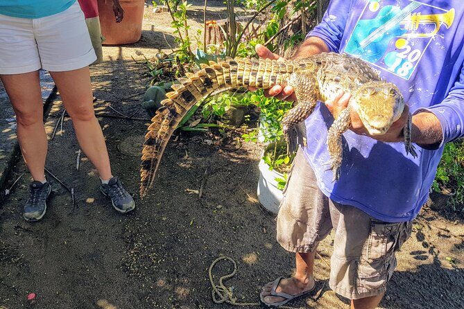 Afro-Mex Village Experience -Horseback Ride -Turtle Hatch & Crocs - Key points to know before you go