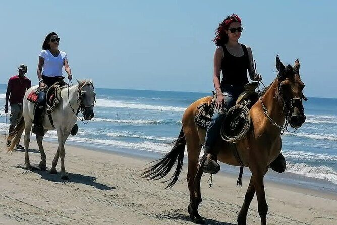 Afro-Mex Village Experience -Horseback Ride -Turtle Hatch & Crocs - Playa de Barra Vieja Beach Horseback Ride: The Scenic Payoff