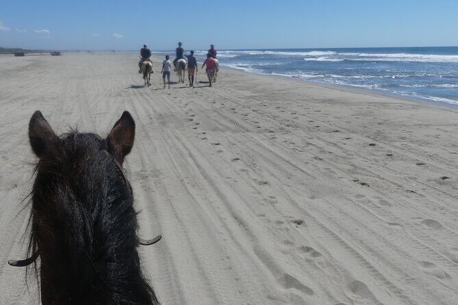 Afro-Mex Village Experience -Horseback Ride -Turtle Hatch & Crocs - Crocodile Farm Visit: Learning About Prehistoric Creatures Up Close