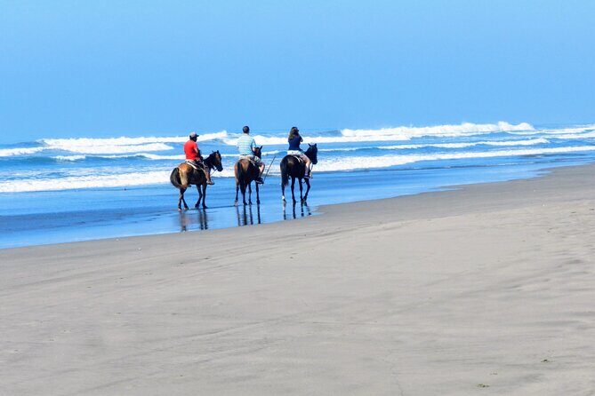 Afro-Mex Village Experience -Horseback Ride -Turtle Hatch & Crocs - Price and Value: What You Really Get for $120.99