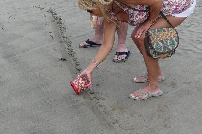 Afro-Mex Village Experience -Horseback Ride -Turtle Hatch & Crocs - Who This Tour Fits Best (and Who Might Want to Skip)