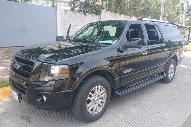 Airport Transfer In Suburban - Turtle Camp in Acapulco: Species Viewing Without the Guesswork