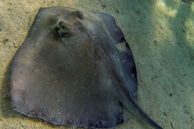 Akumal Bay snorkeling, plus 3 cenotes and great food - Small Group Size and Smooth Day Rhythm