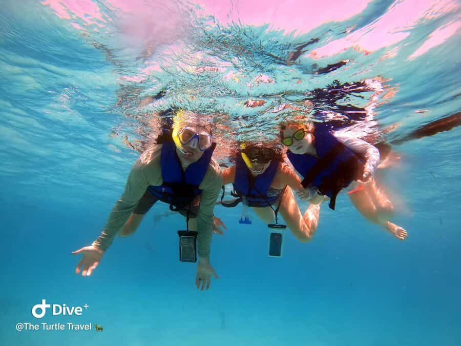 Akumal Beach: Ecologic Turtle Snorkeling Tour & Gopro Photos - Key Things to Know Before You Go
