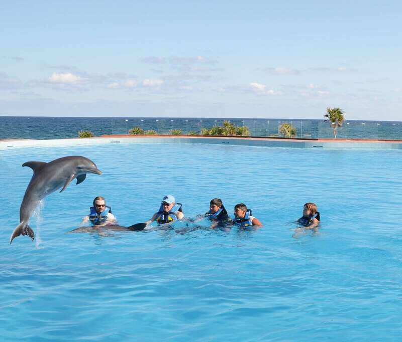 Akumal: Dolphin Encounter - Why Akumal Makes This Feel Like More Than a Quick Attraction