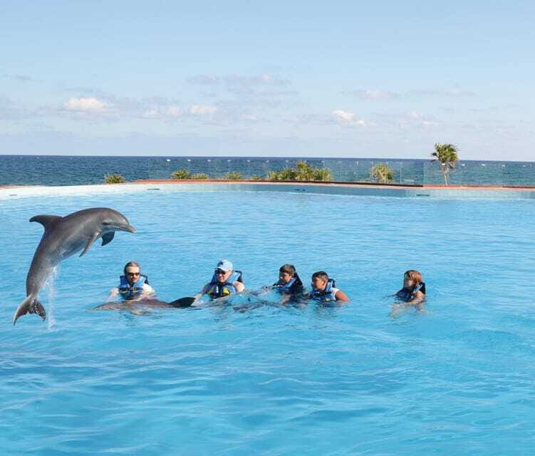 Akumal: Dolphin Encounter - Value Check: Is $99 Worth It, Given Photos and Time?