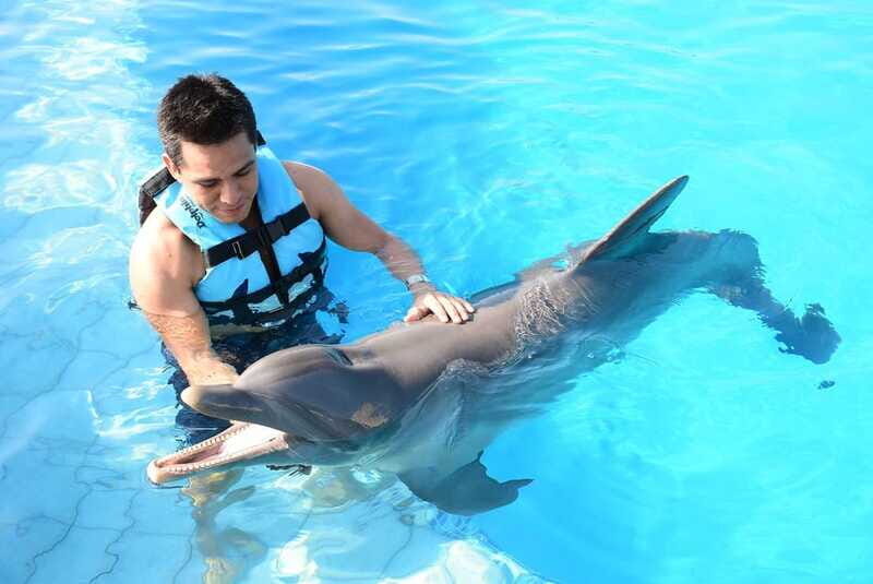 Akumal: Dolphin Encounter - Should You Book Akumal Dolphin Encounter?