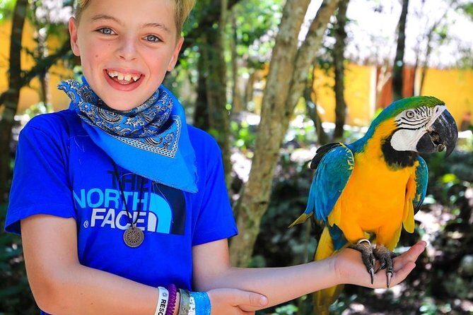 Akumal Monkey Sanctuary - The 2-Hour Flow: How the Encounters Are Structured