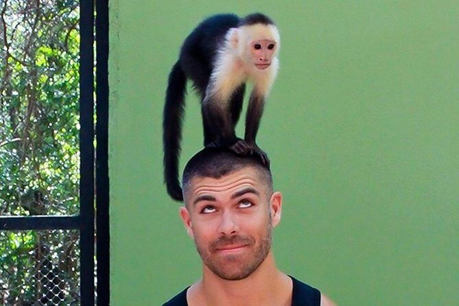 Akumal Monkey Sanctuary - The Monkey Bonding Moment: The Part You Should Plan For