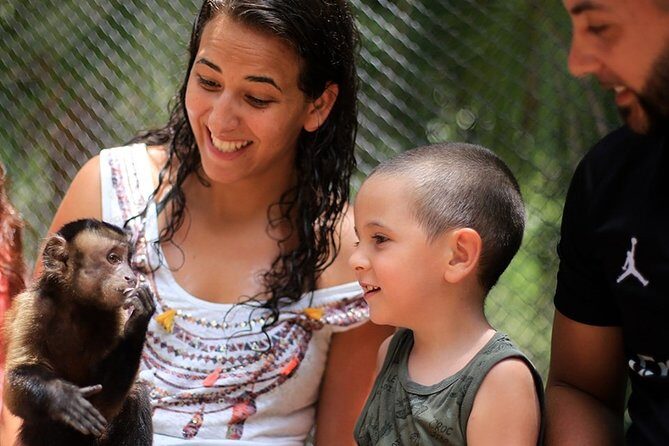 Akumal Monkey Sanctuary - Rehabilitation and Reintroduction: Why This Sanctuary Feels Different