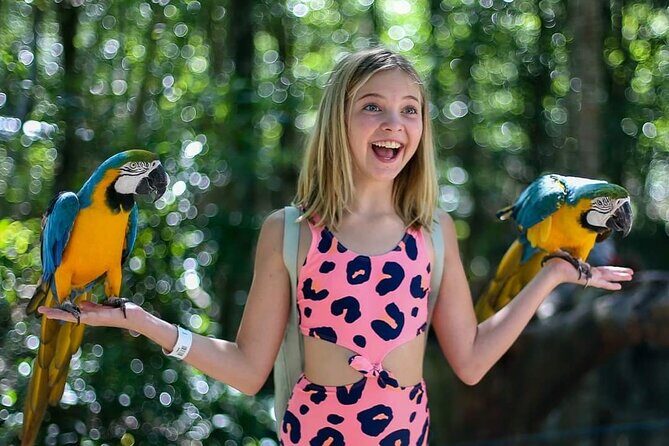 Akumal Monkey Sanctuary - Getting There: Pickup Options That Actually Matter