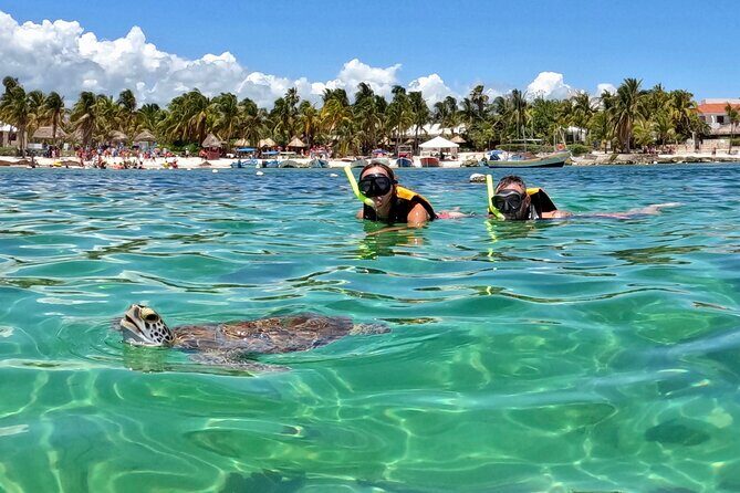 Akumal; Snorkeling and Photos with Turtles - Key Highlights at a Glance