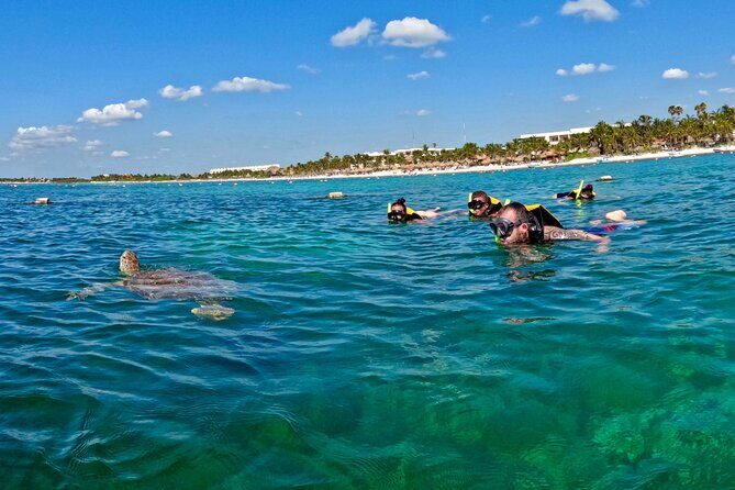 Akumal; Snorkeling and Photos with Turtles - What You’ll See: Green Turtles, Rays, and Reef Life