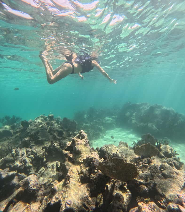Akumal: Swim with Sea Turtles and Coral Reefs. - Where You Meet: Finding Akumal Mayan Trips Fast